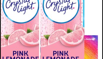 خفيف وفاخر: الانغماس في مشروبات خالية من السكر خالية من الشعور بالذنب