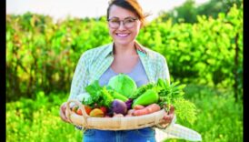 مربي الحي: زراعة أفضل مناطق الجذب المحلية