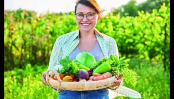 مربي الحي: زراعة أفضل مناطق الجذب المحلية