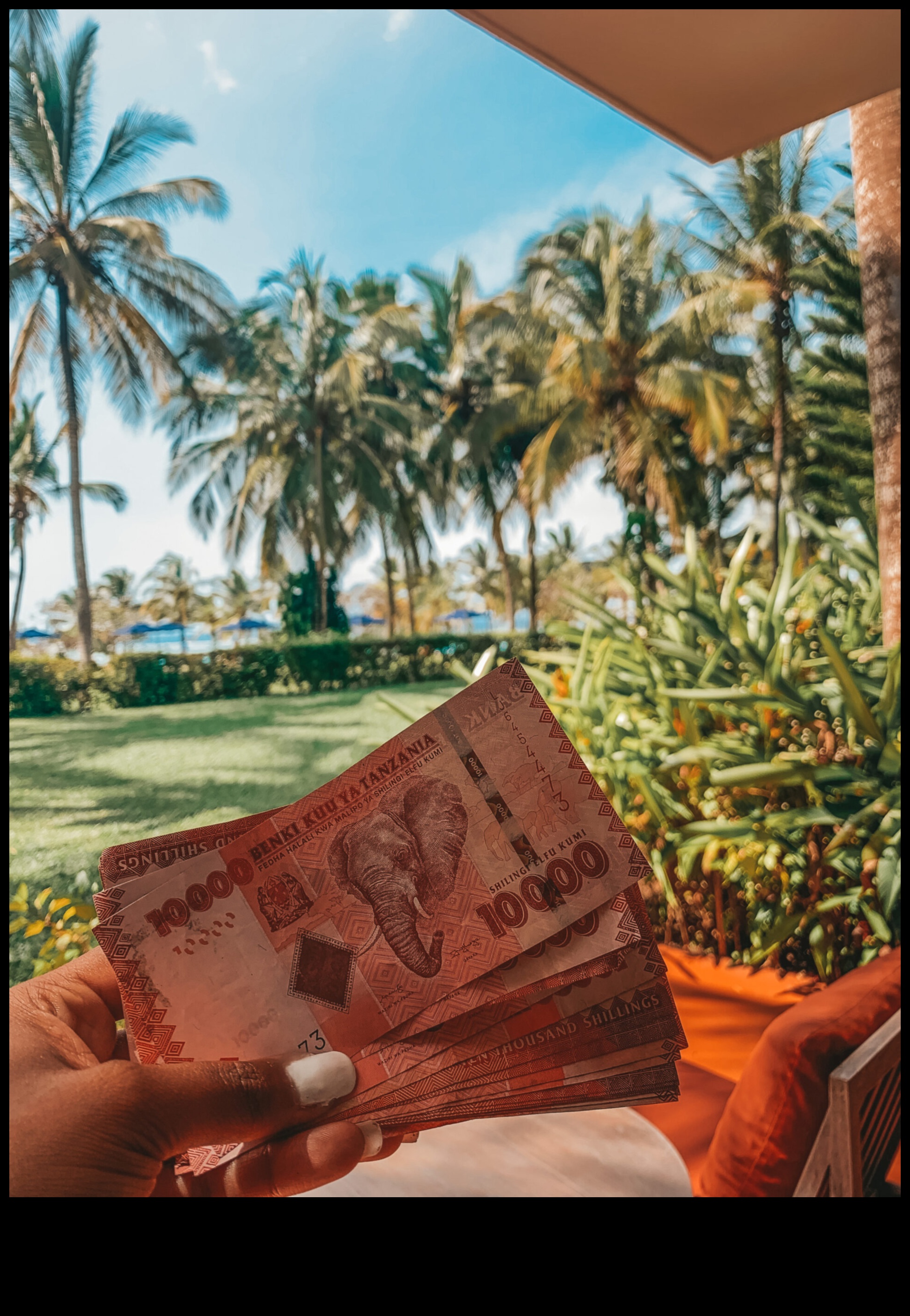 أوديسا اقتصادية: دليلك لميزانية السفر