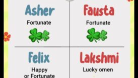 الصدفة الحلوة: أسماء الأطفال غير المتوقعة والساحرة