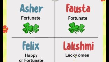 الصدفة الحلوة: أسماء الأطفال غير المتوقعة والساحرة