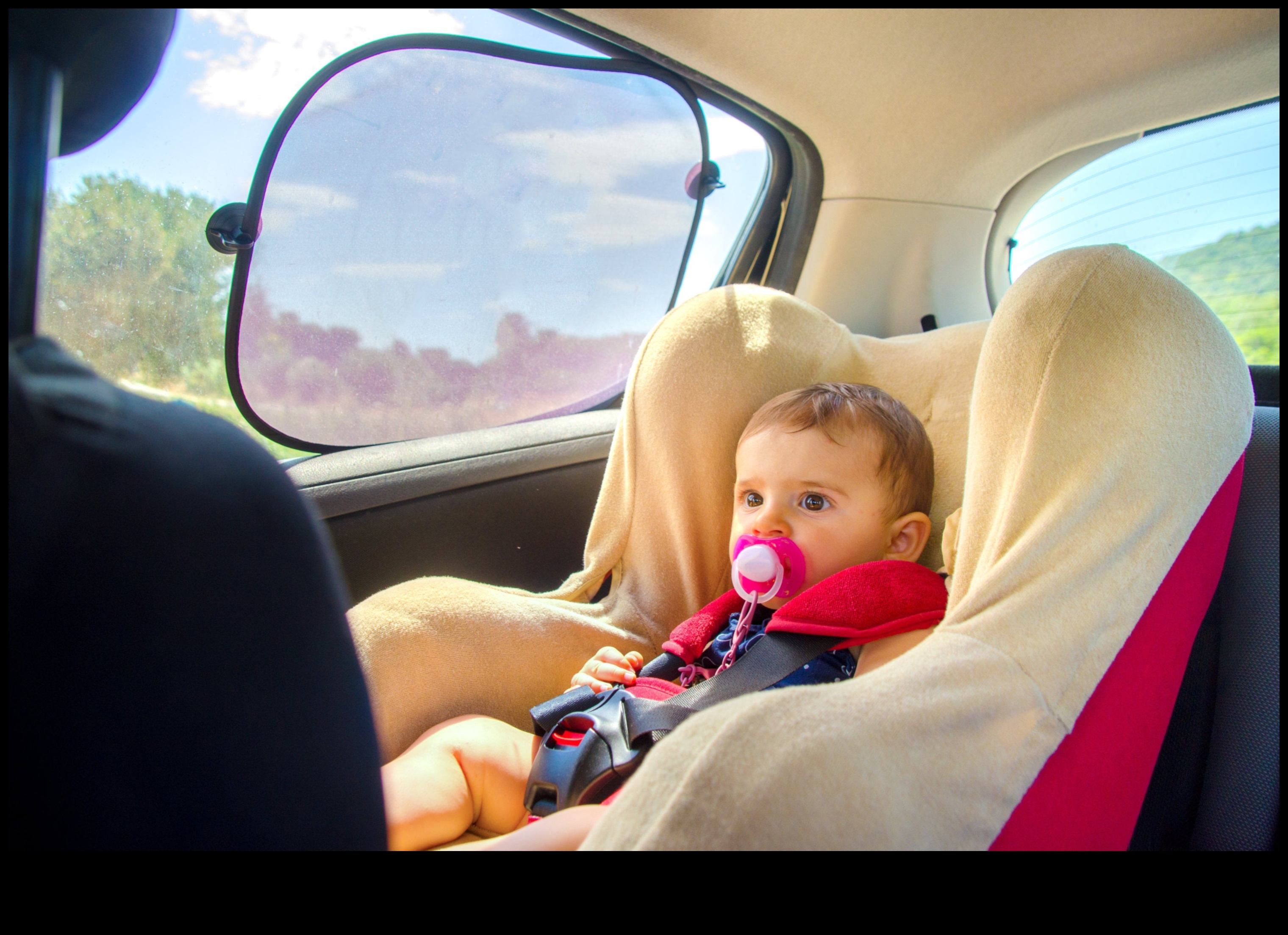 الذكاء في السلامة: دليل للتنقل في عالم سلامة الأطفال 5 والدهاء السلامة: التنقل في عالم سلامة الطفل