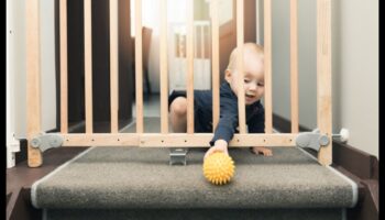 والدهاء السلامة: التنقل في عالم سلامة الطفل