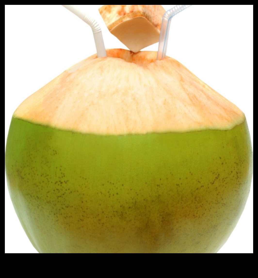 فن صياغة ماء جوز الهند: نصائح وإلهام لعشاق جوز الهند