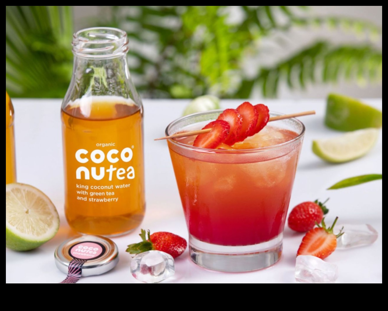 فن صياغة ماء جوز الهند: نصائح وإلهام لعشاق جوز الهند